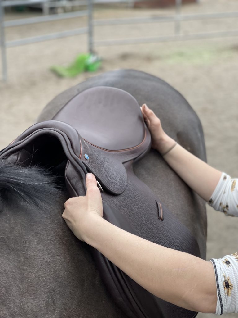 saddle fitting services in northern ca