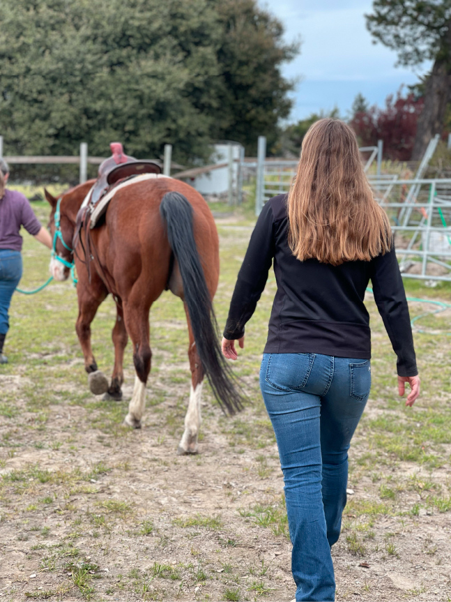 book-a-saddle-fitting